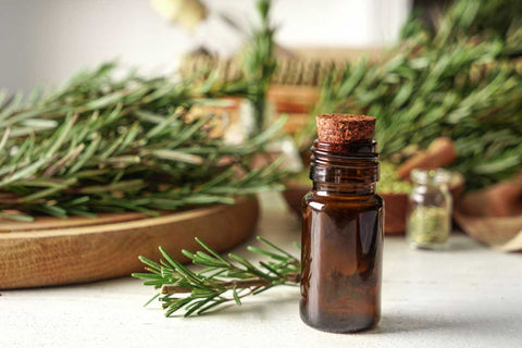 Rosemary oil for dandruff control