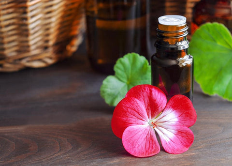 Geranium Body Oil