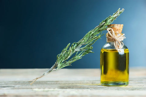 Rosemary Essential Oil For Memory