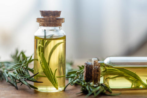 Rosemary And Thyme Oil For Hair