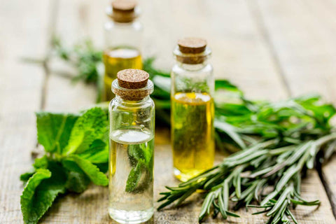 How Do You Mix Tea Tree Oil For Scabies?