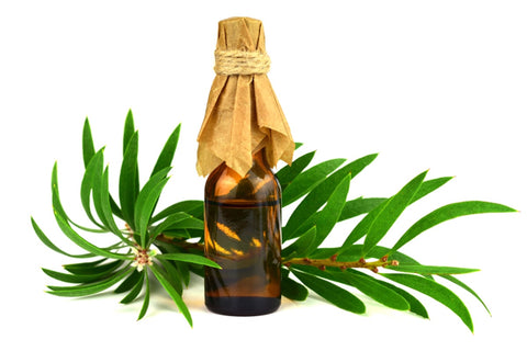 Tea Tree Oil For Razor Bumps