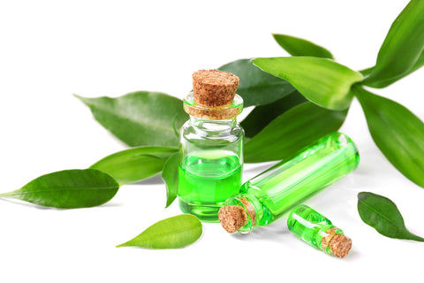 Tea Tree Oil For Hair Growth