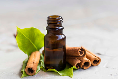 Cinnamon Essential Oil