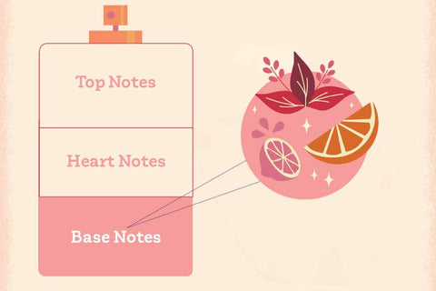 Top 10 Base Notes List For Perfume Making Blog