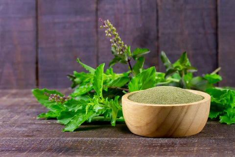 Neem and Tulsi Oil For Eczema Treatment