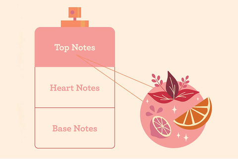 Top Note Perfume Making