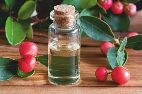 Gaultheria oil for joint pain