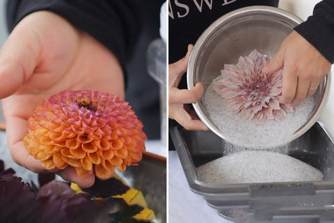 How to Dry Flowers With & Without Silica Gel? – VedaOils