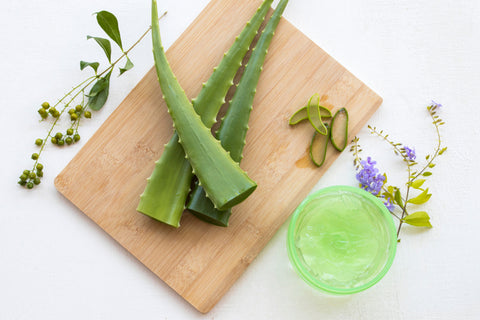 Aloe Vera and Rosehip Oil for Acne