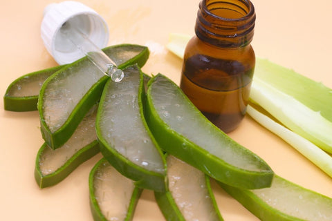 Aloe Vera And Coconut Oil For Acne