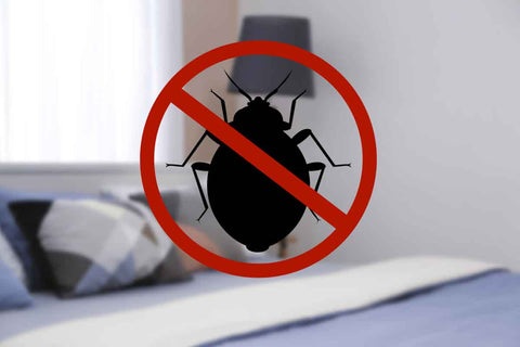 essential oils for bed bug bites