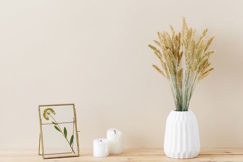 Acasa Design Tips - Decorating with Dried Plants 