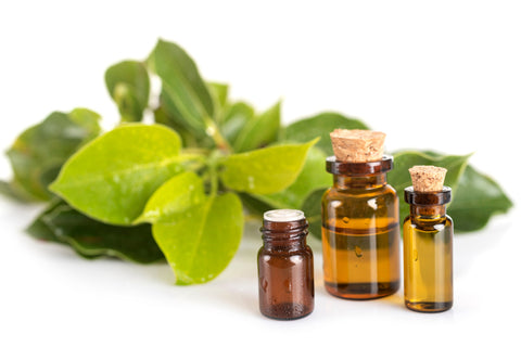 Camphor Essential Oil Benefits For Skin