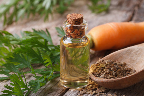 Carrot Seed Oil For Skin Care