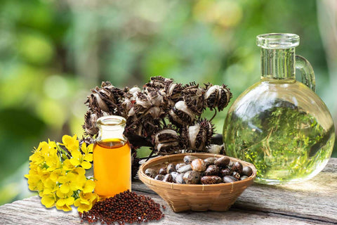 Castor Oil VS Mustard Oil