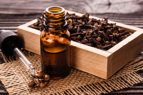 Clove Bud Essential Oil For Cold Sores