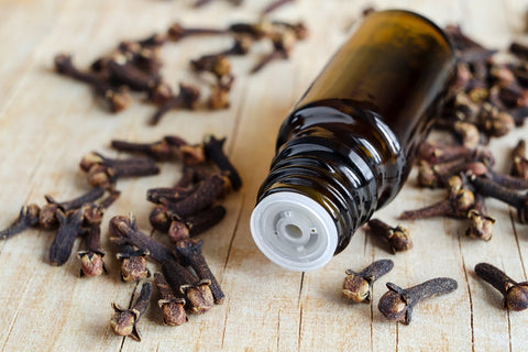 Clove Oil For Pimples