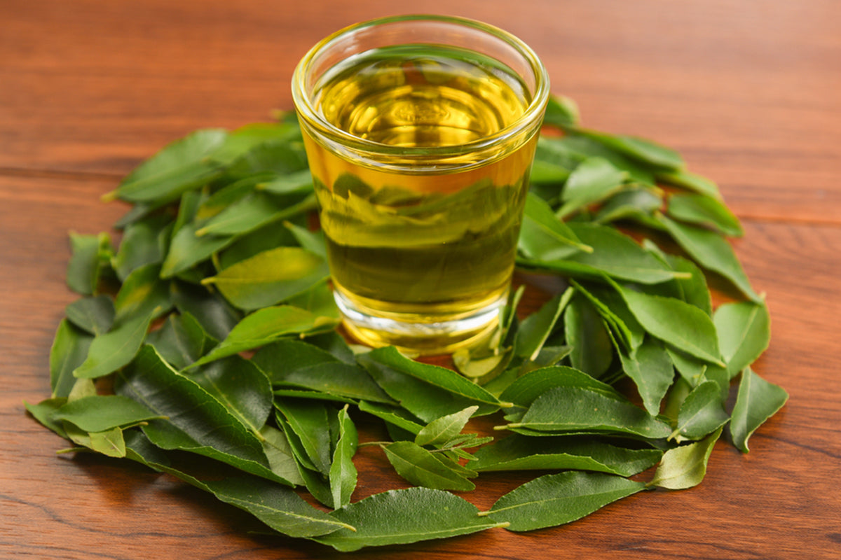 Natural Onion Curry Leaves Hair Oil for Regrowth and Prevent Hair Loss