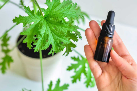 How Oxidation Effect Essential Oils?