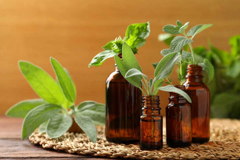 essential oils for mouth ulcers