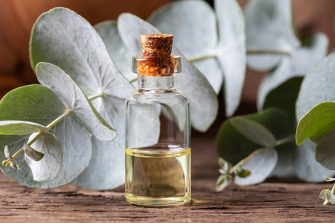 Recipe of Eucalyptus Oil And Olive Oil for Beard