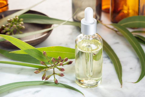 Eucalyptus Oil For Skin Care