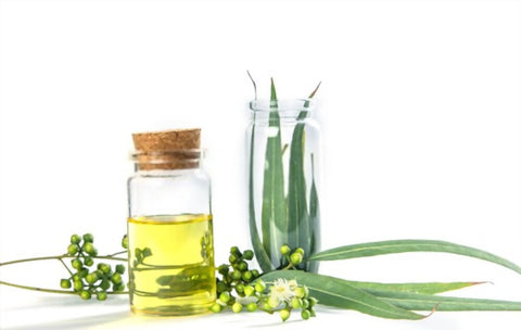 eucalyptus oil in bath benefits