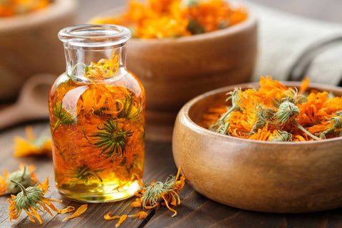 Calendula Essential Oil For Psoriasis