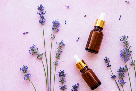 Lavender Oil For Antimicrobial Protection