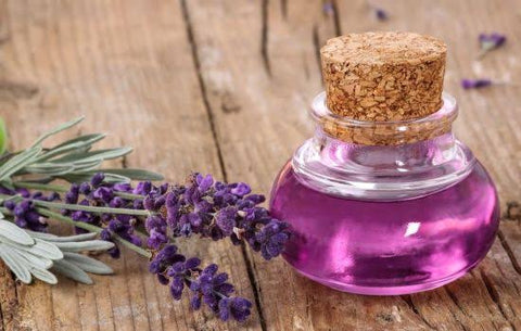 Precautions For Lavender Oil