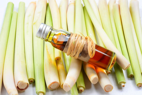Top 10 Uses For Lemongrass Essential Oil
