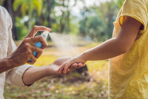 Homemade Mosquito Spray