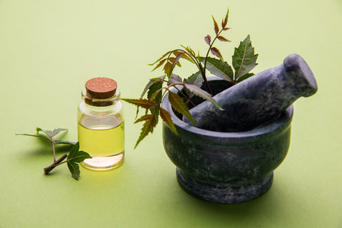 Benefits Of Neem Oil For Lice