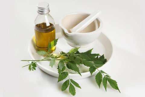 Neem Oil And Tea Tree Oil For Hair