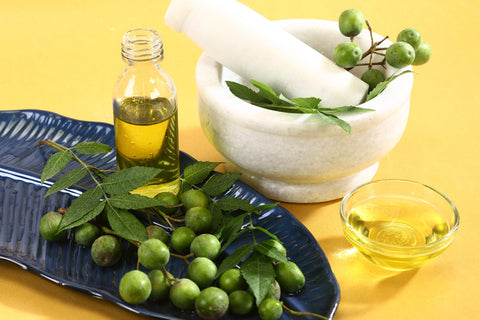 Is neem oil good for dandruff?