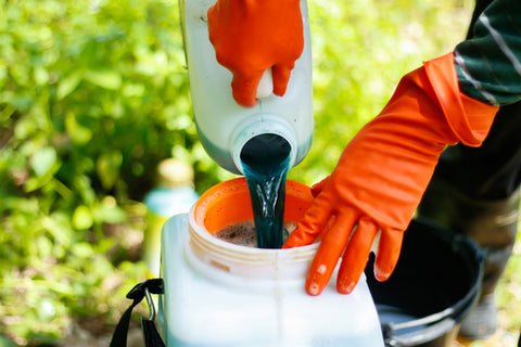 Neem Oil Pesticide Detergent Based Spray