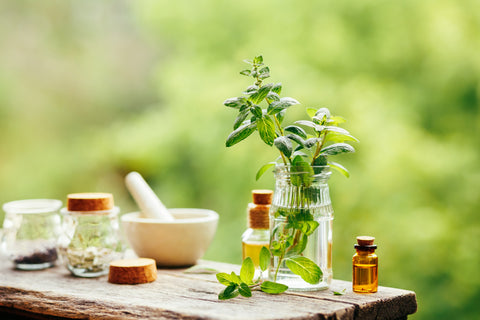 How To Use Peppermint Oil For Mice?