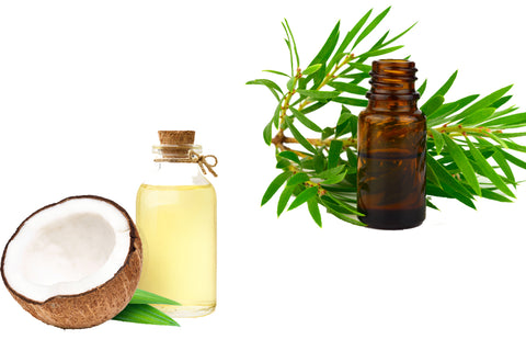 Tea Tree Oil And Coconut Oil For Ingrown Hair