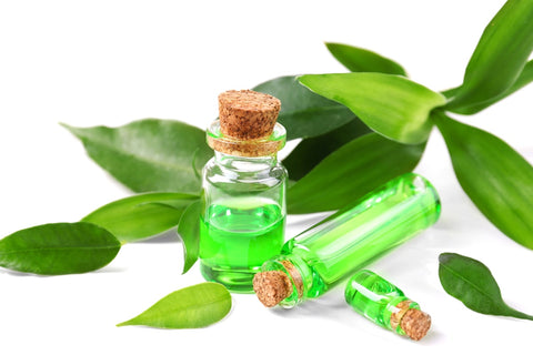 Tea Tree Oil And Olive Oil For Eczema