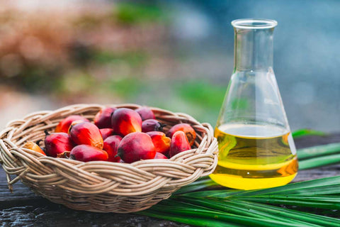 Palm Oil Used For Soap Making Stock Illustration - Download Image Now - Soap,  Making, Preparation - iStock