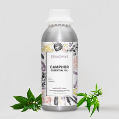 Camphor Essential Oil for Arthritis