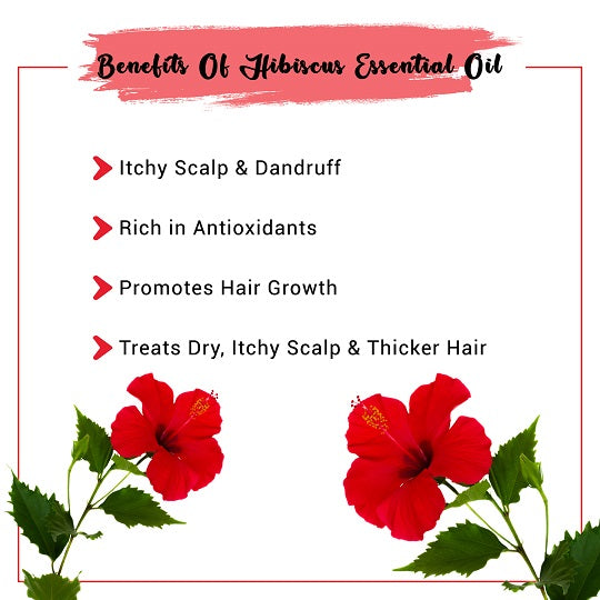 Buy 100 Natural Hibiscus Red Flower Hair Oil Online in India  BeKarmiccom