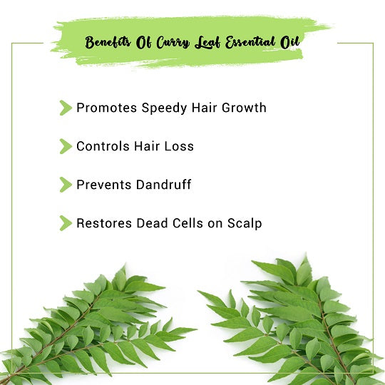 Buy Vriddhi Amla Hair Oil with Methi and Curry Leaves for Reduce Hair Fall  and Rejuvenate Hair Follicles  No Preservatives or s Hair Oil  100 ML  Online at desertcartINDIA