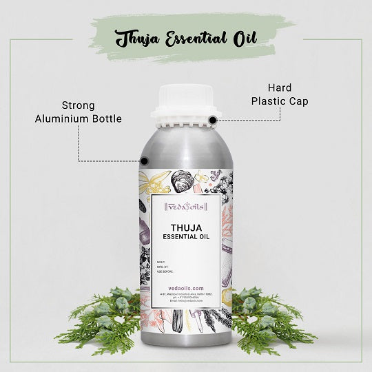 Thuja Oil Wholesale Suppliers Buy Pure Thuja Essential Oil
