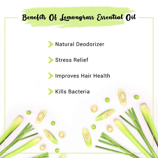 Lemongrass for Hair  5 Magical Benefits  Uses of Lemongrass  Traya