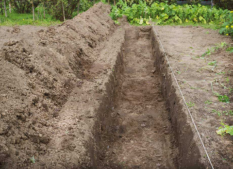 Flat bottomed trench with dig outs to the left