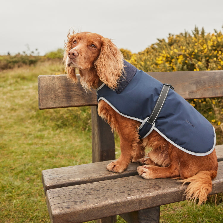 Barbour Monmouth Waterproof Dog Coat - Navy - John Norris