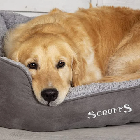Scruffs Grey dog Bed