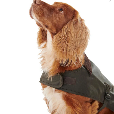 The Barbour Matt Wax Dog Coat